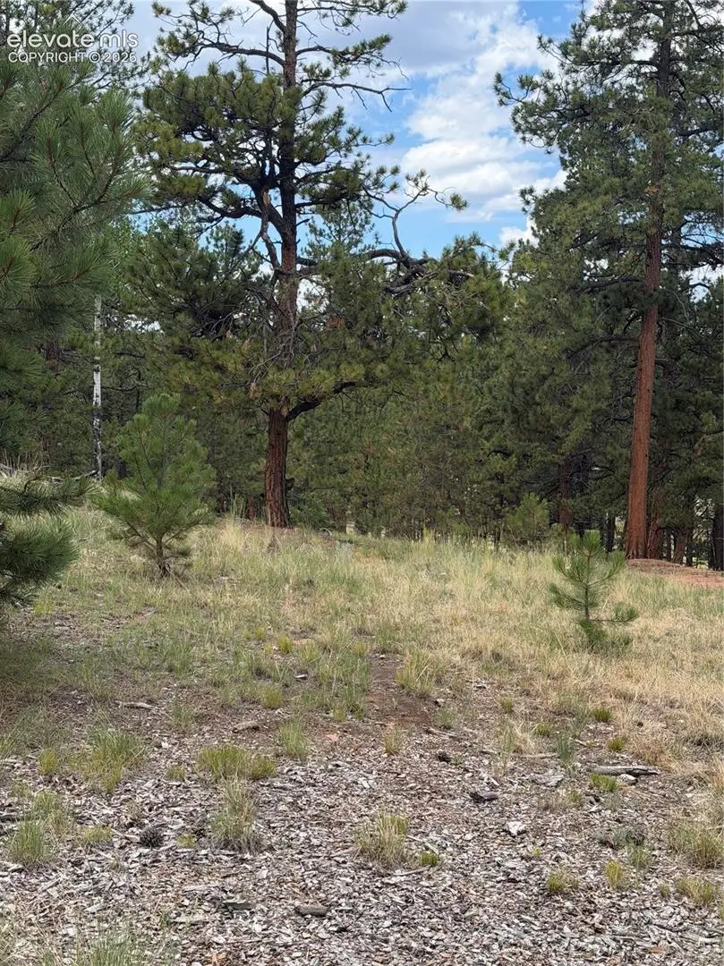 11042 County Road 1, Florissant, CO 80816 - #2