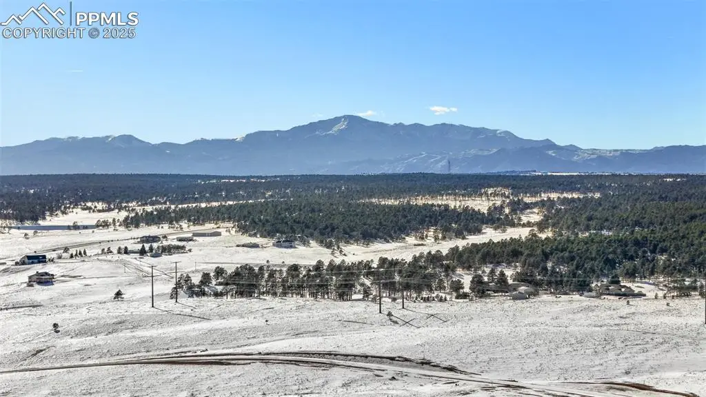 10282 Alamar Way, Colorado Springs, CO 80908 - #1