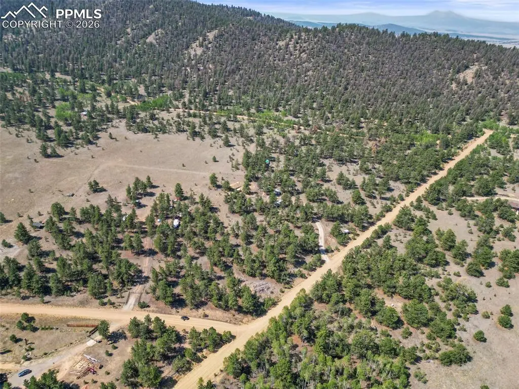3948 S Muley Gulch Drive, Hartsel, CO 80449 - #1