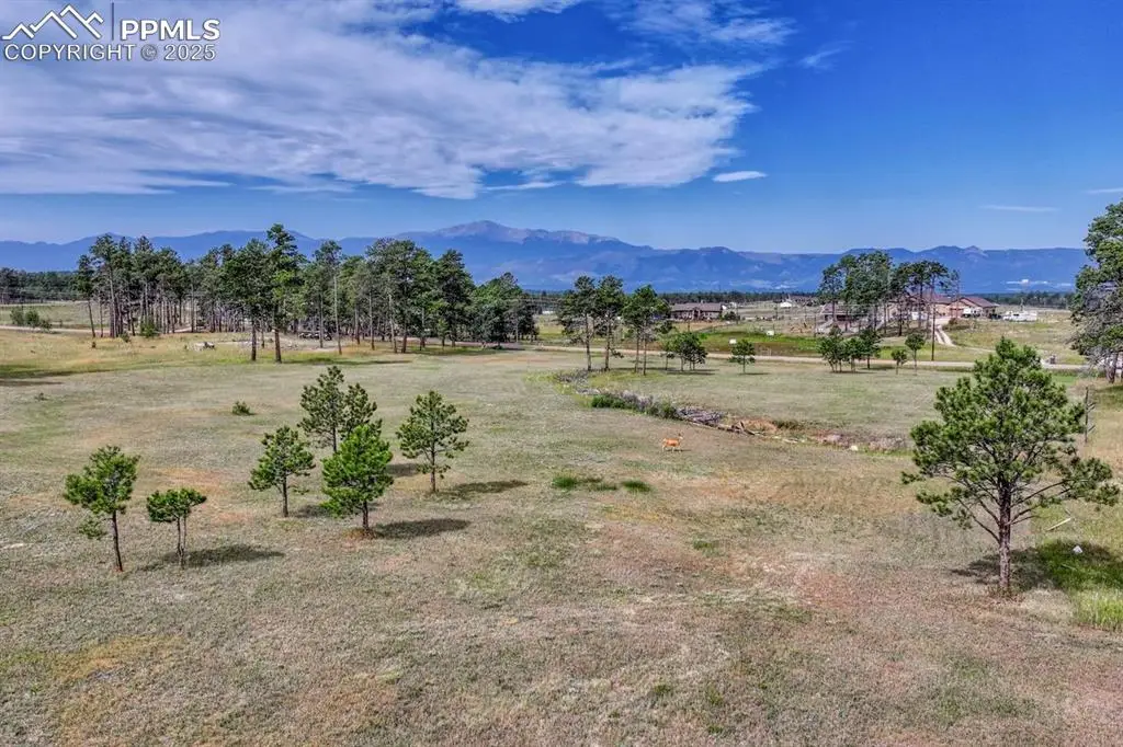 LOT 4 Forest Heights Circle, Colorado Springs, CO 80908 - #1