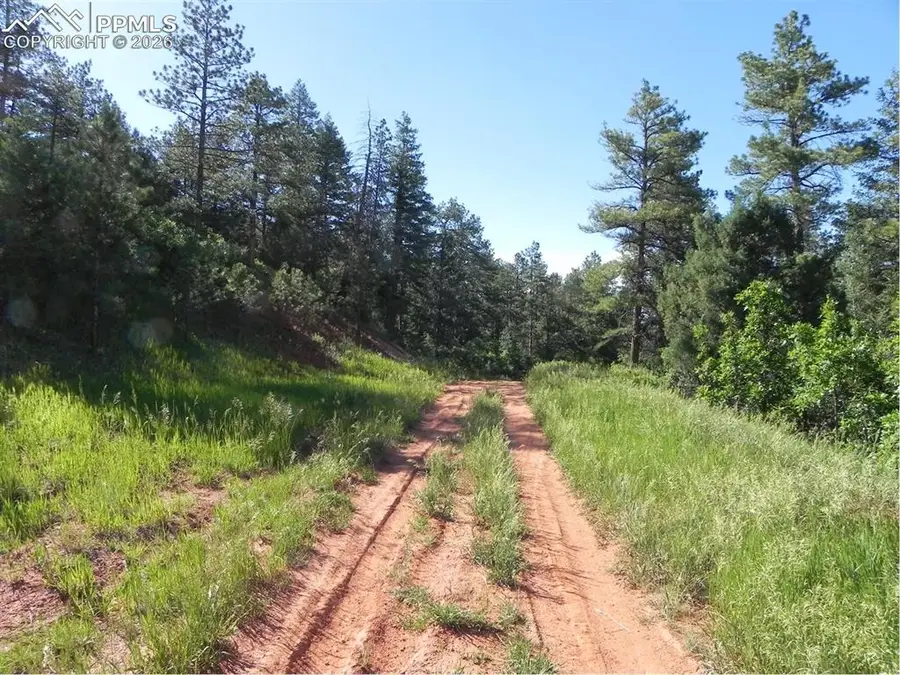 8117 Acoma Drive, Larkspur, CO 80118 - #2