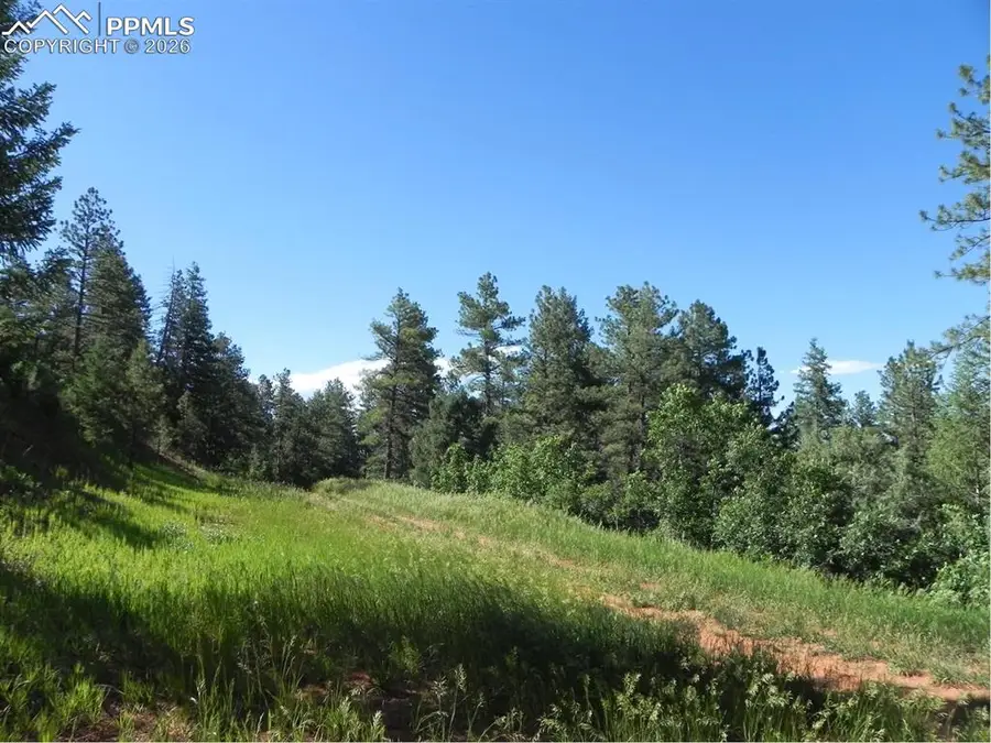 8117 Acoma Drive, Larkspur, CO 80118 - #3
