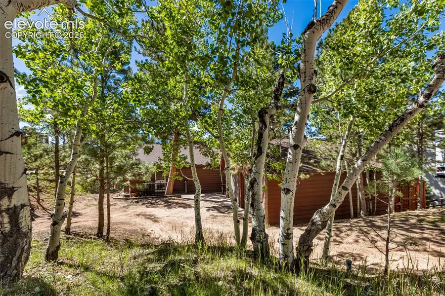 208 Illini Drive, Woodland Park, CO 80863 - #3
