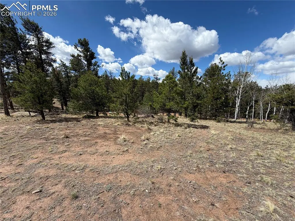 2988 Pikes Peak Drive, Florissant, CO 80816 - #1