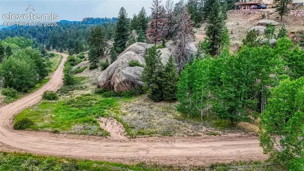 830 Pinon Lane, Florissant, CO 80816