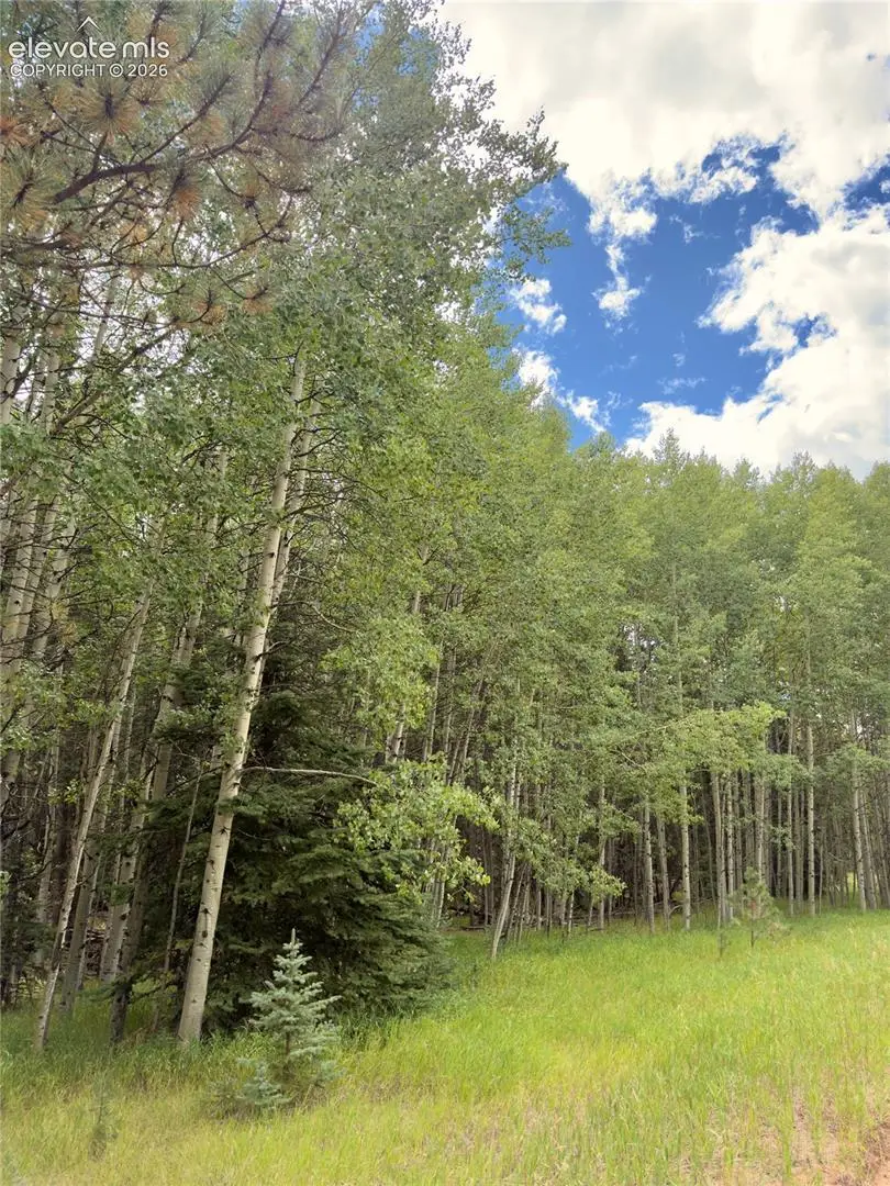 616 Spring Valley Lane, Florissant, CO 80816 - #1