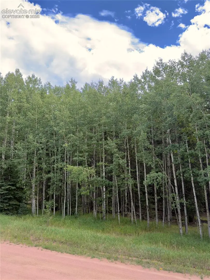 616 Spring Valley Lane, Florissant, CO 80816 - #2