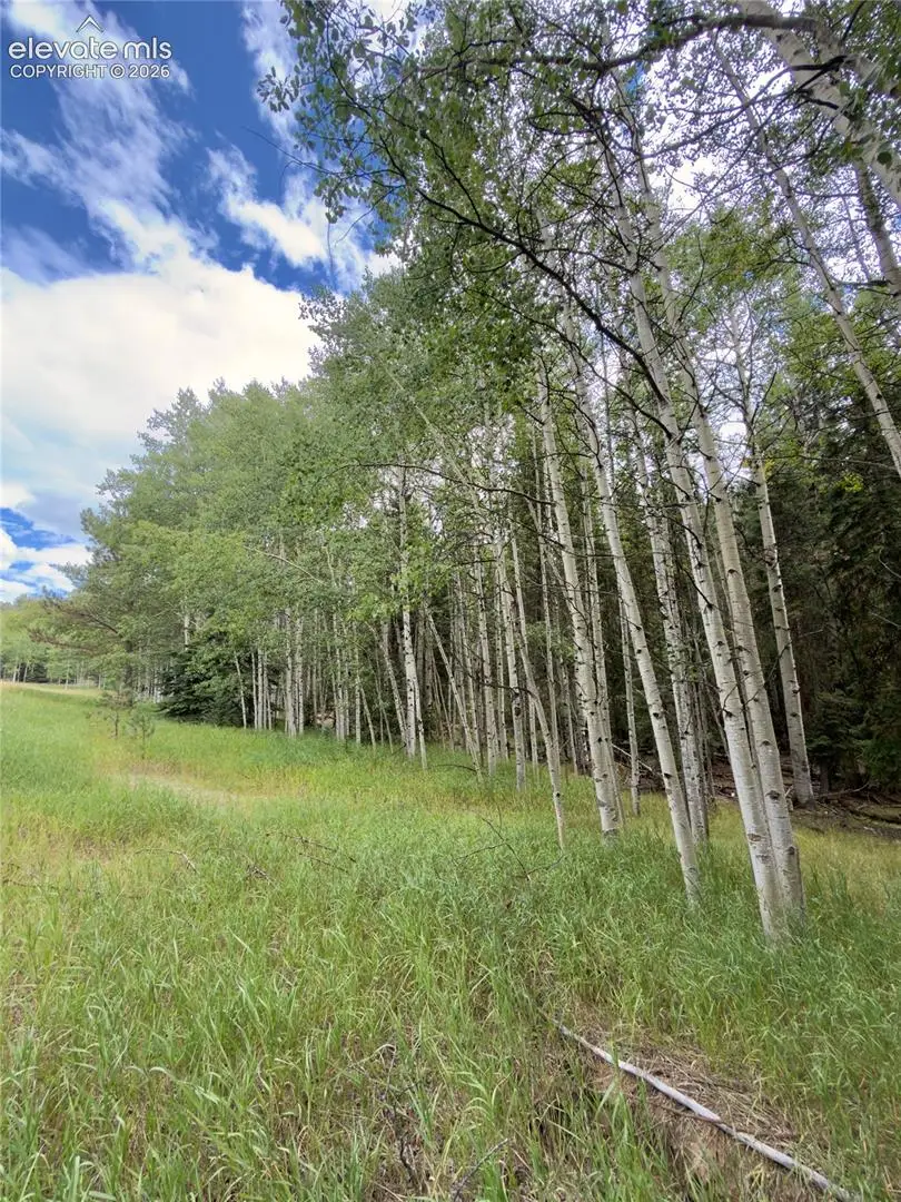 616 Spring Valley Lane, Florissant, CO 80816 - #3