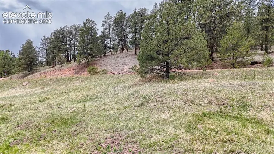 42 Rabbit Circle, Florissant, CO 80816 - #2