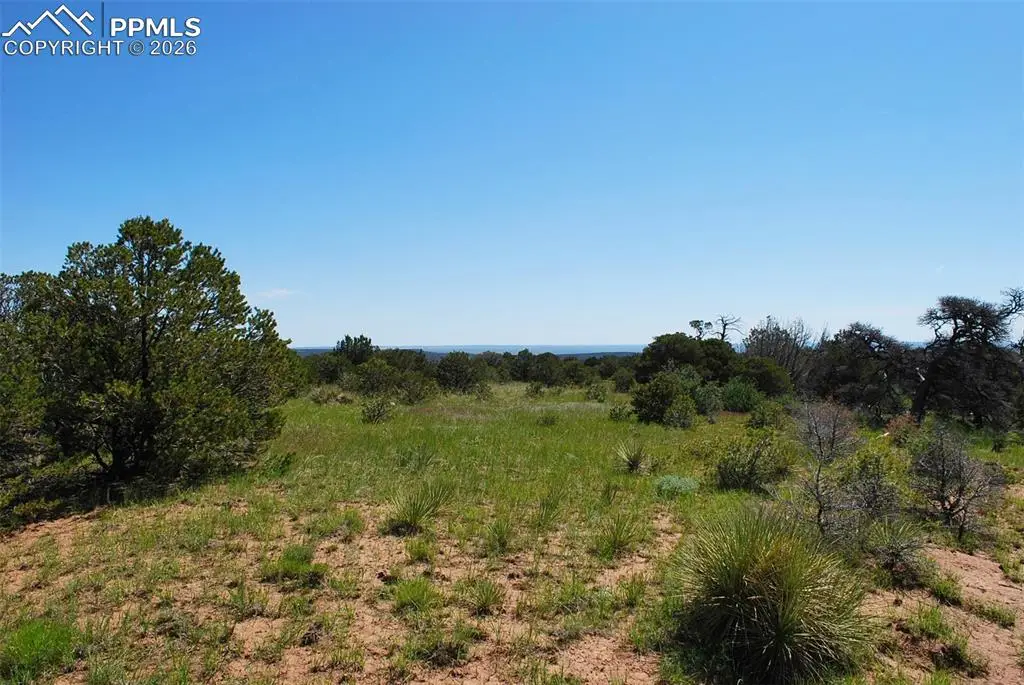 Williams Road, Walsenburg, CO 81089 - #1