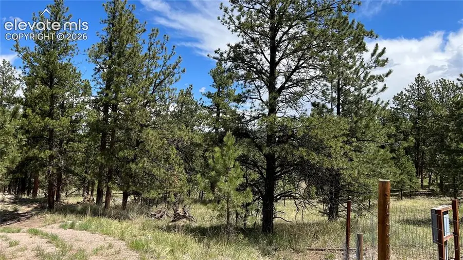 207 Little Bear Drive, Westcliffe, CO 81252 - #2