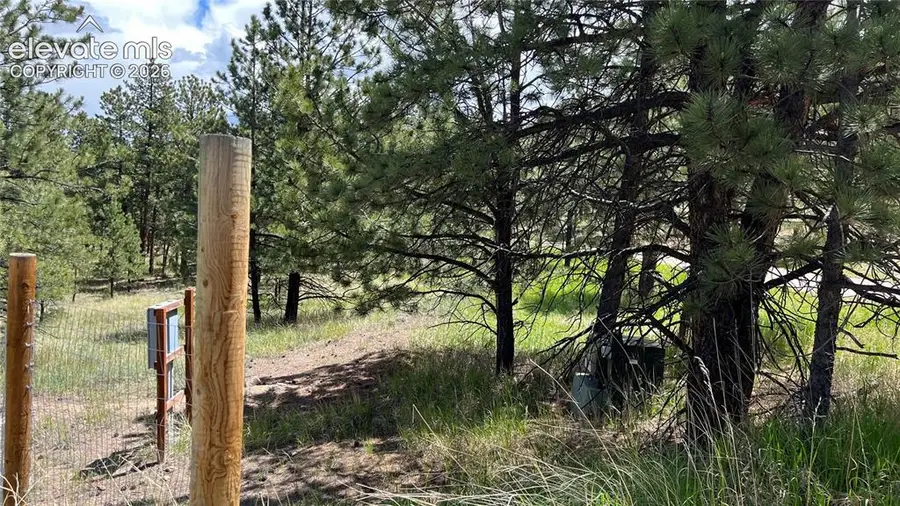 207 Little Bear Drive, Westcliffe, CO 81252 - #3