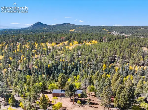695 Elk Creek Drive, Divide, CO 80814