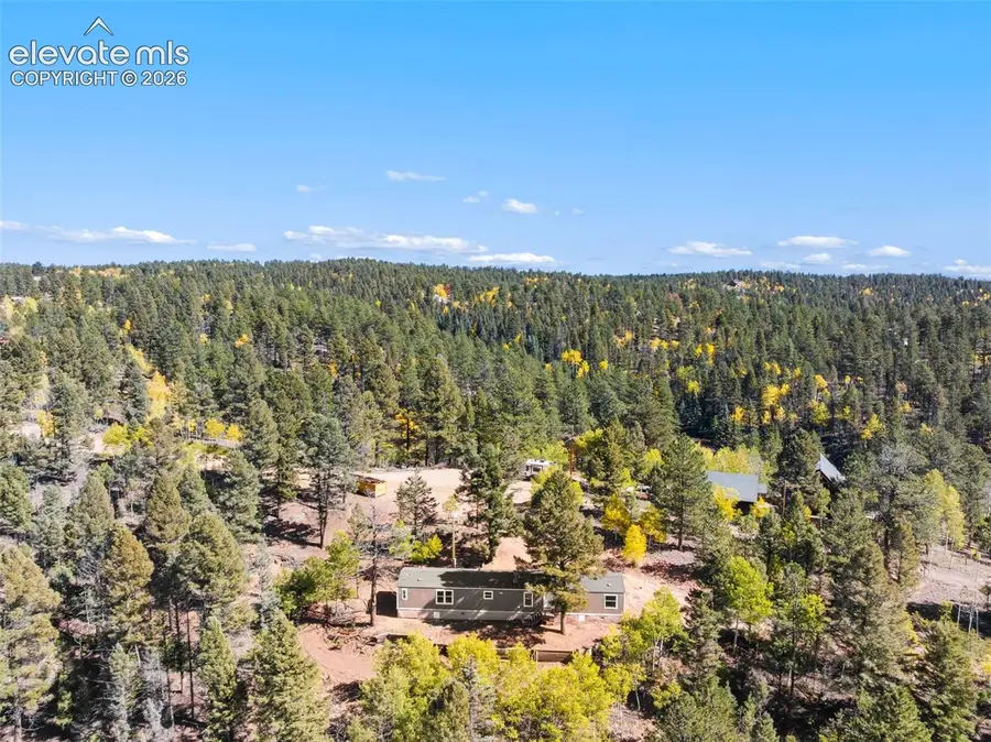 695 Elk Creek Drive, Divide, CO 80814 - #2