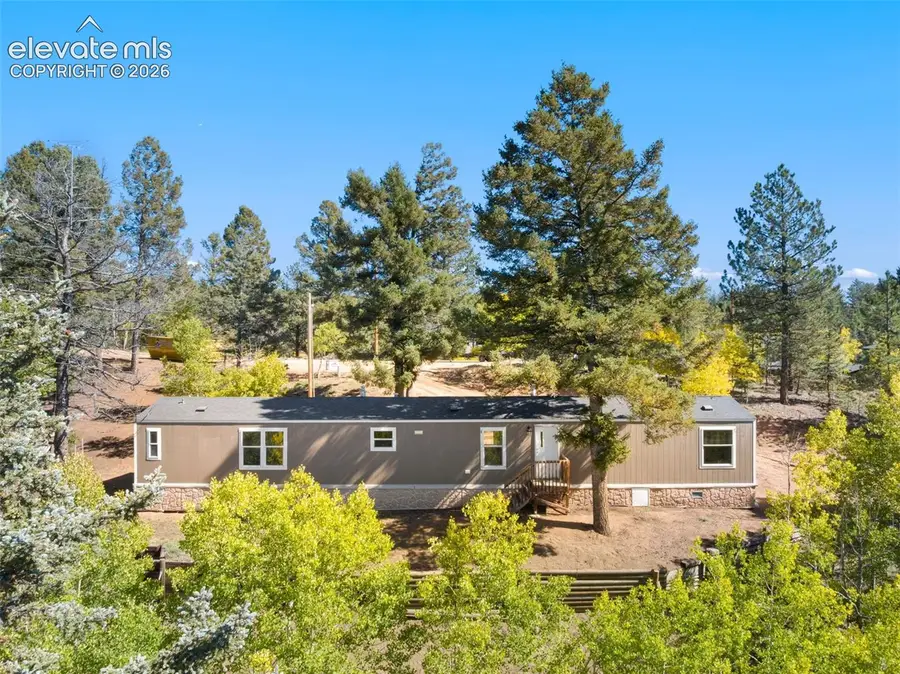 695 Elk Creek Drive, Divide, CO 80814 - #3
