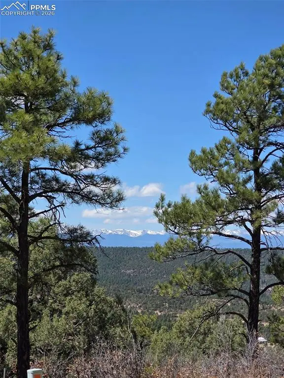 230 Old Mission Road, Trinidad, CO 81082 - #3