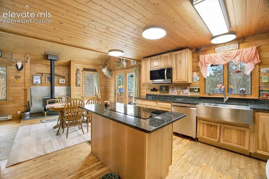 715 W Bison Creek Trail, Florissant, CO 80816 - #3