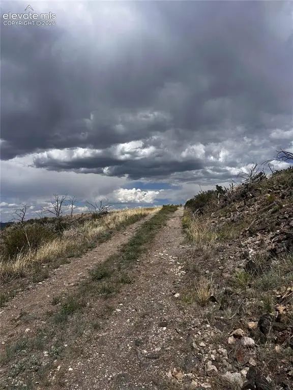 H Path, Cotopaxi, CO 81223 - #3