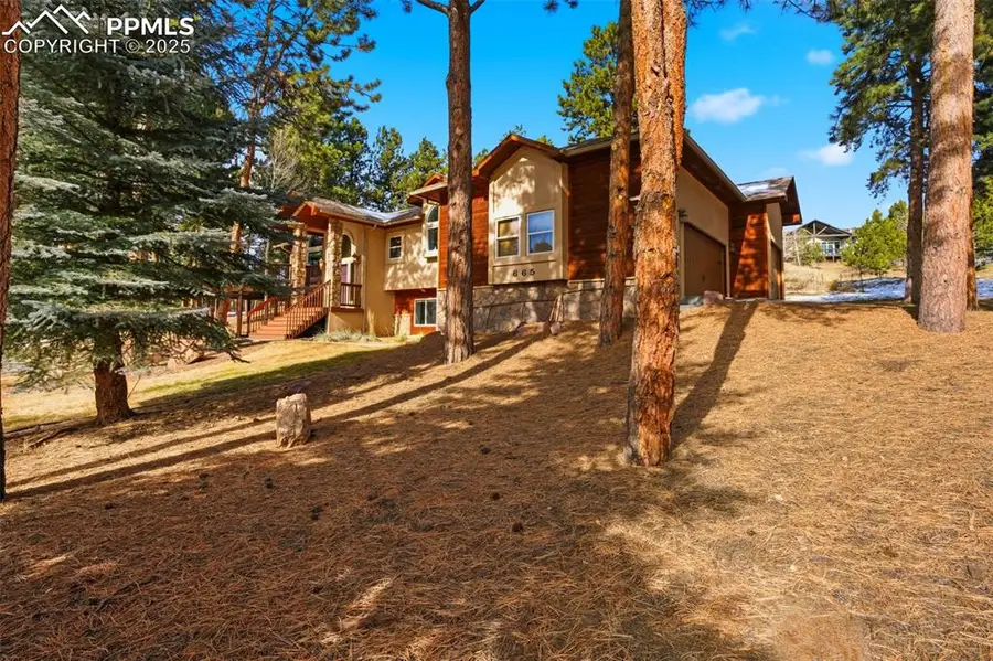 665 Pembrook Drive, Woodland Park, CO 80863 - Image #3