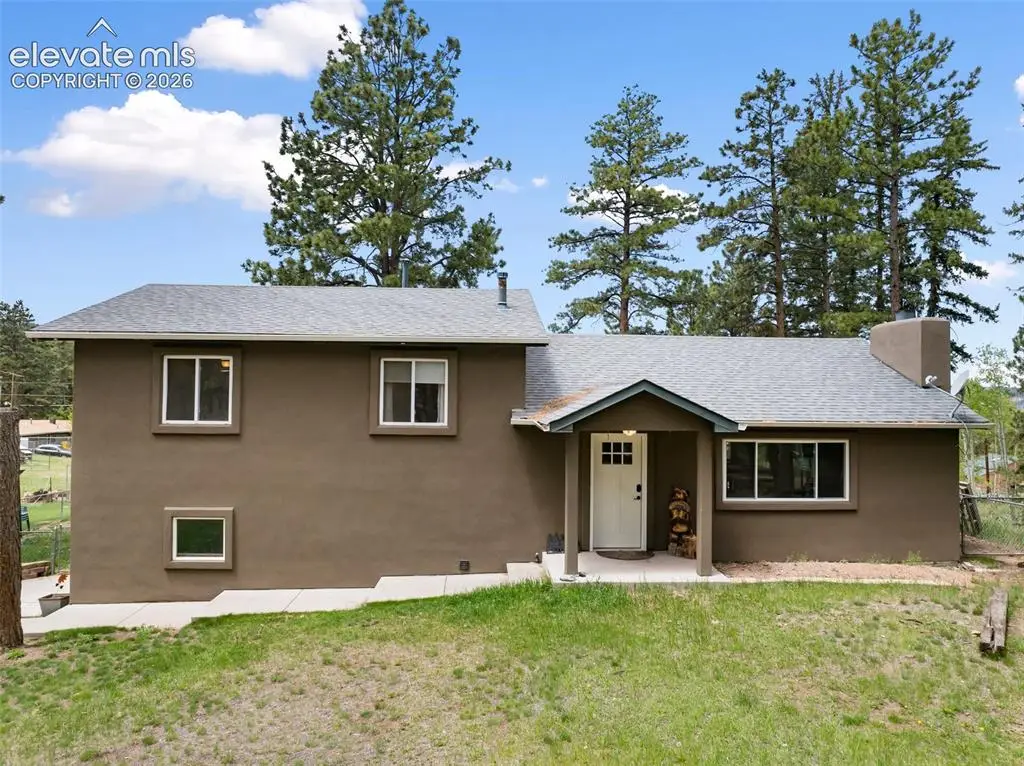 10 Ollie Court, Woodland Park, CO 80863 - #1