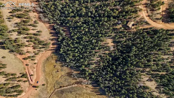 342 Vivenda Road, Cripple Creek, CO 80813