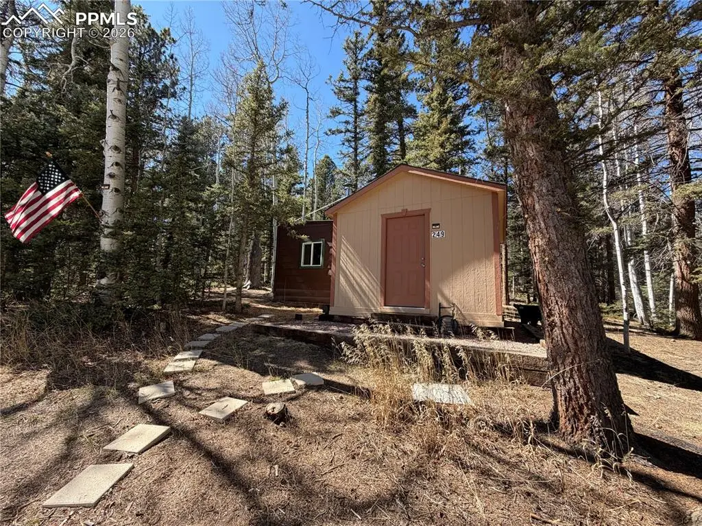 249 Gold Dust Creek Road, Florissant, CO 80816 - #1