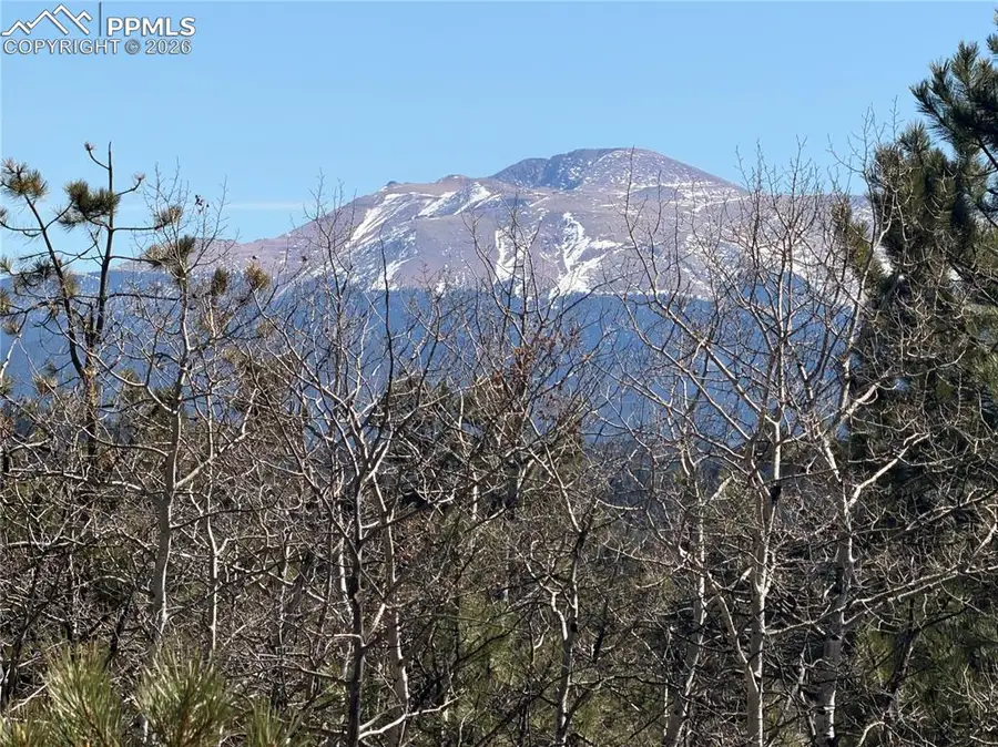 249 Gold Dust Creek Road, Florissant, CO 80816 - #3