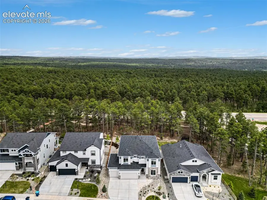 16325 Treetop Glory Court, Monument, CO 80132 - #2