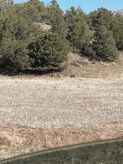 Lot 17 S Dunn Drive, Canon City, CO 81212 - #2