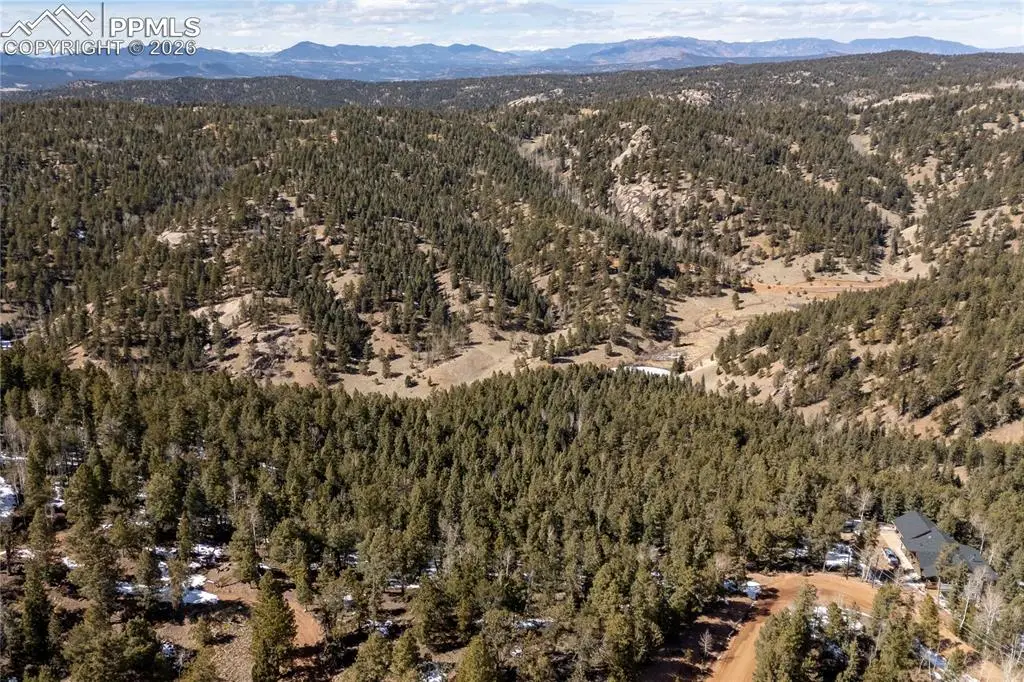 81 Haven Road, Divide, CO 80814 - #1