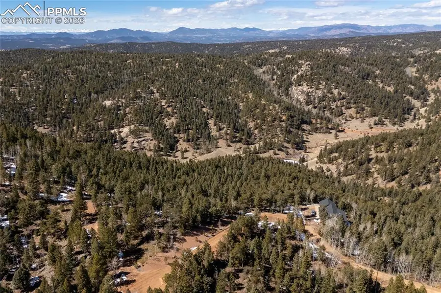81 Haven Road, Divide, CO 80814 - #3