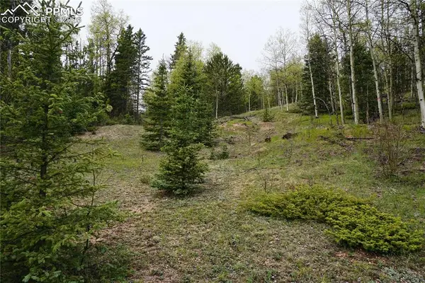 Vacant Land Na, Cripple Creek, CO 80813