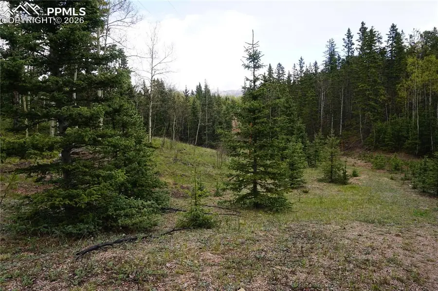 Vacant Land Na, Cripple Creek, CO 80813 - #2