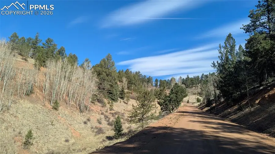 136 Valley Road, Divide, CO 80814 - #2