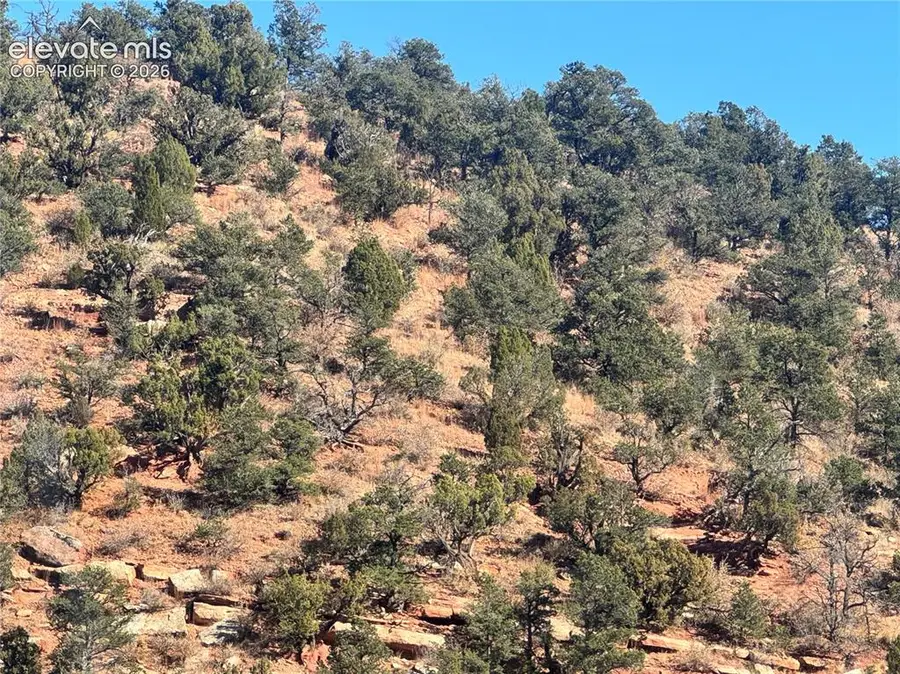 Tarrant Street, Manitou Springs, CO 80829 - #2