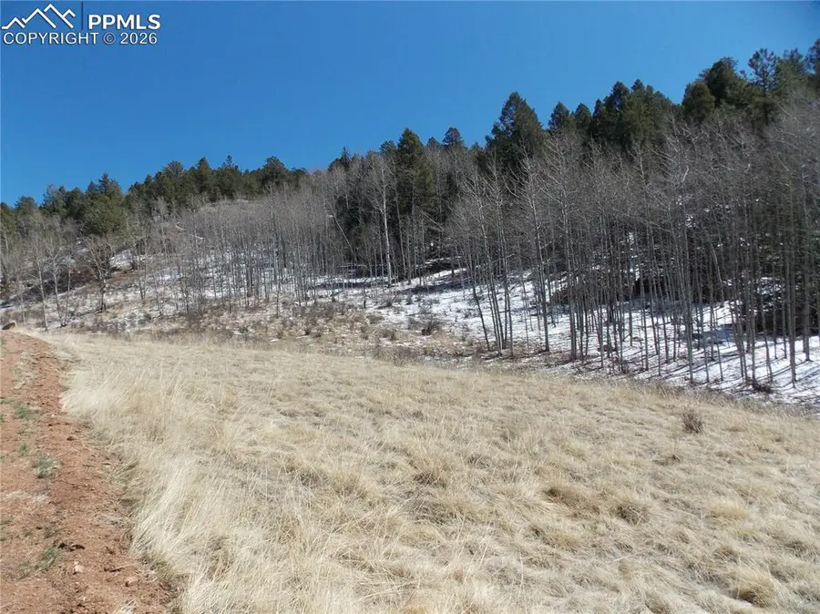 388 Grey Eagle Drive, Cripple Creek, CO 80813 - #2