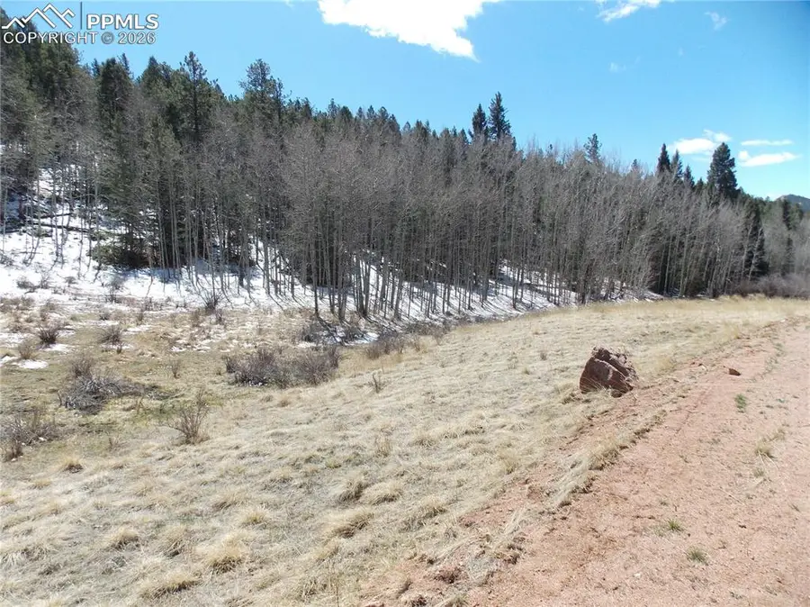 388 Grey Eagle Drive, Cripple Creek, CO 80813 - #3