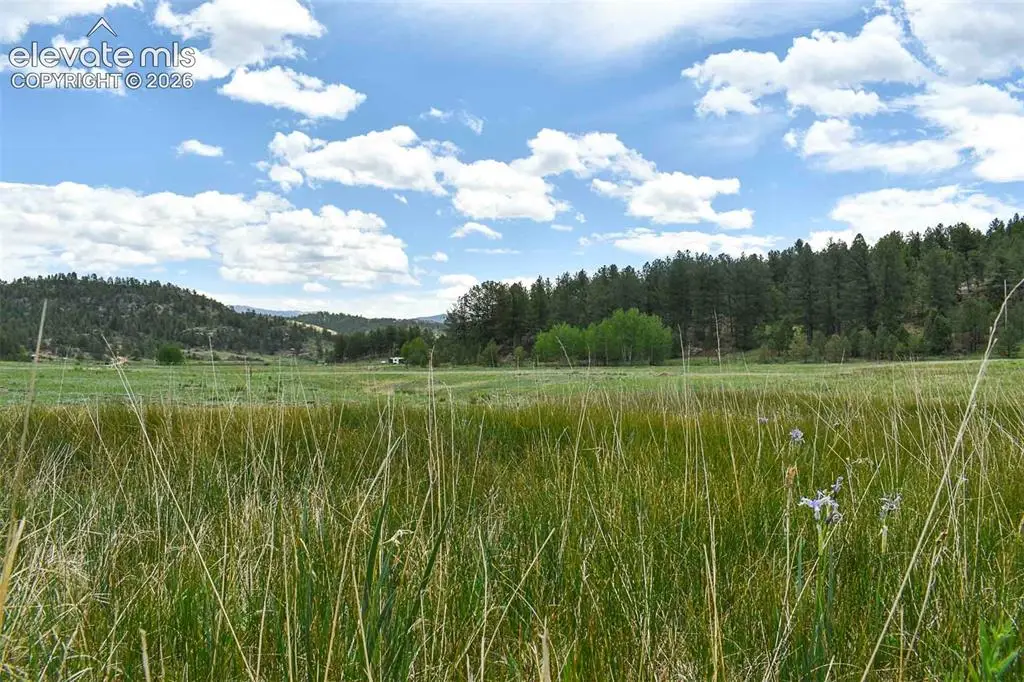 729 Valley Drive, Guffey, CO 80820 - #1