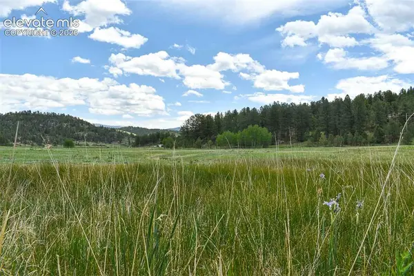 729 Valley Drive, Guffey, CO 80820