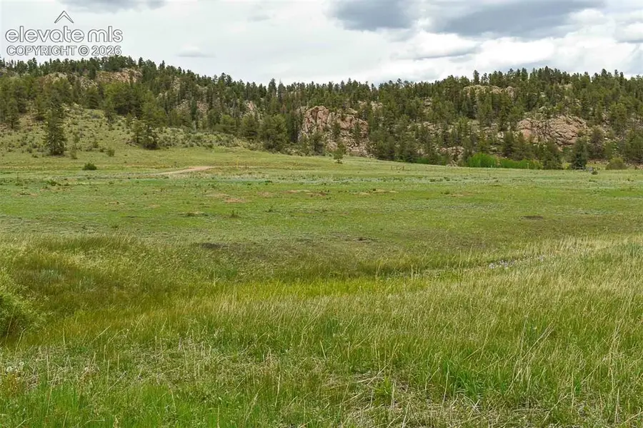 729 Valley Drive, Guffey, CO 80820 - #2