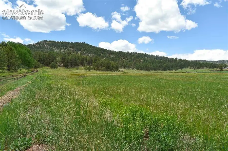 729 Valley Drive, Guffey, CO 80820 - #3
