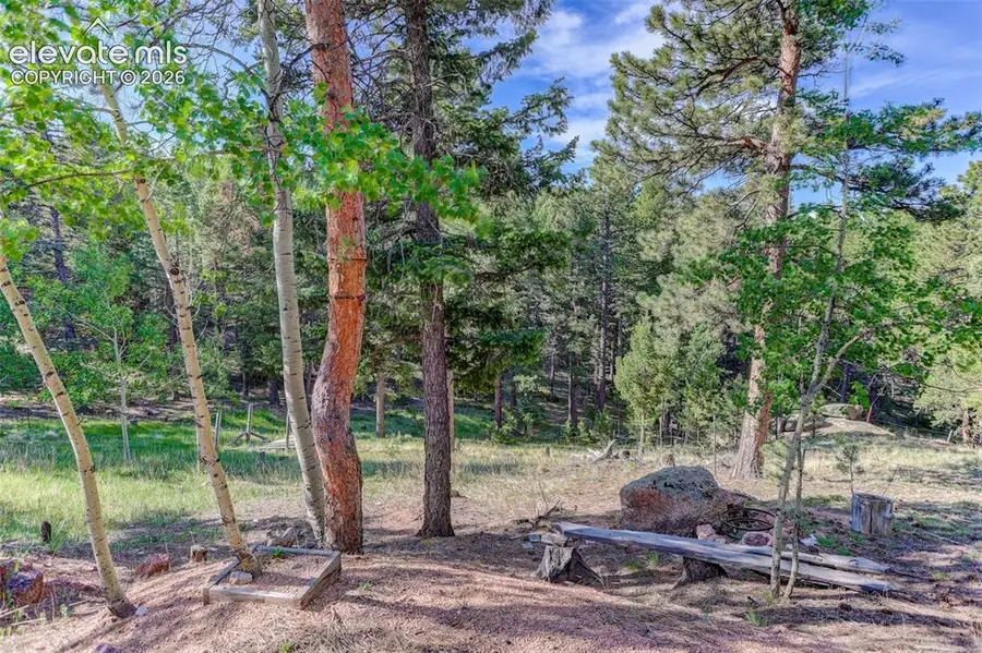 4 Honeysuckle Road, Woodland Park, CO 80863 - #3