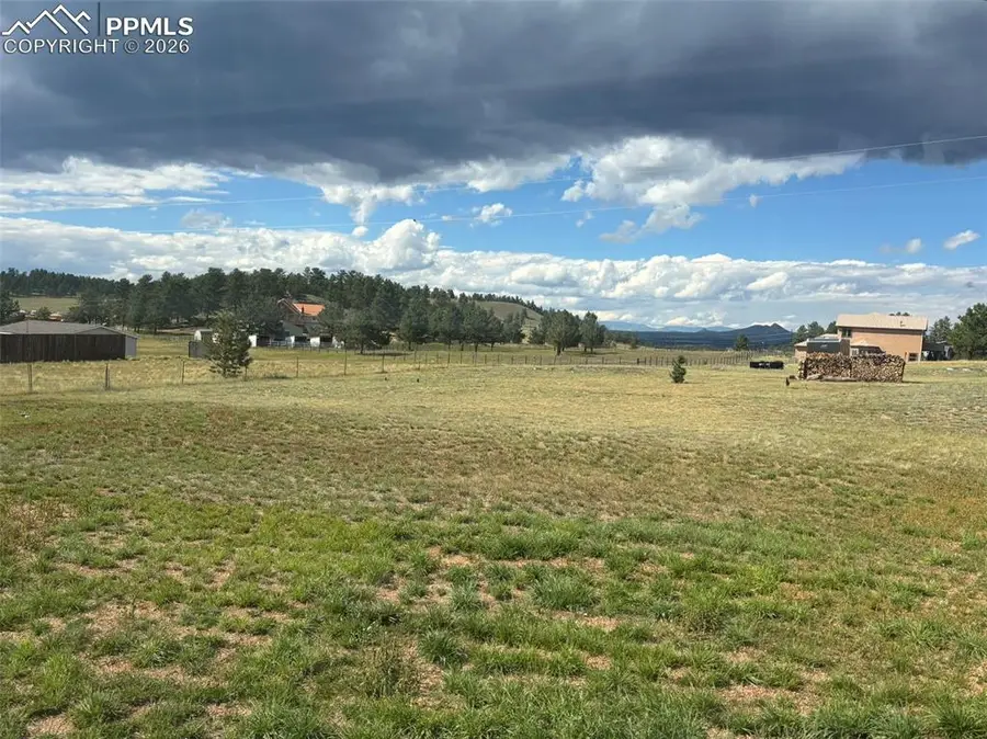 489 Due South Road, Florissant, CO 80816 - #3