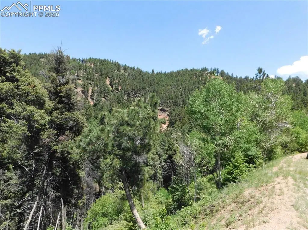 13371 Spruce Creek Circle, Larkspur, CO 80118 - #1