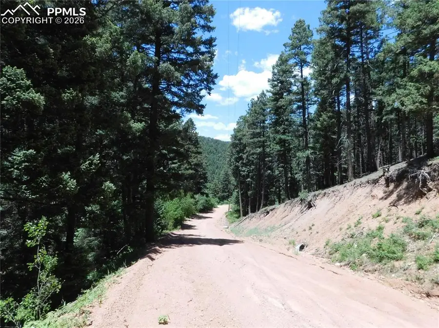 13371 Spruce Creek Circle, Larkspur, CO 80118 - #3