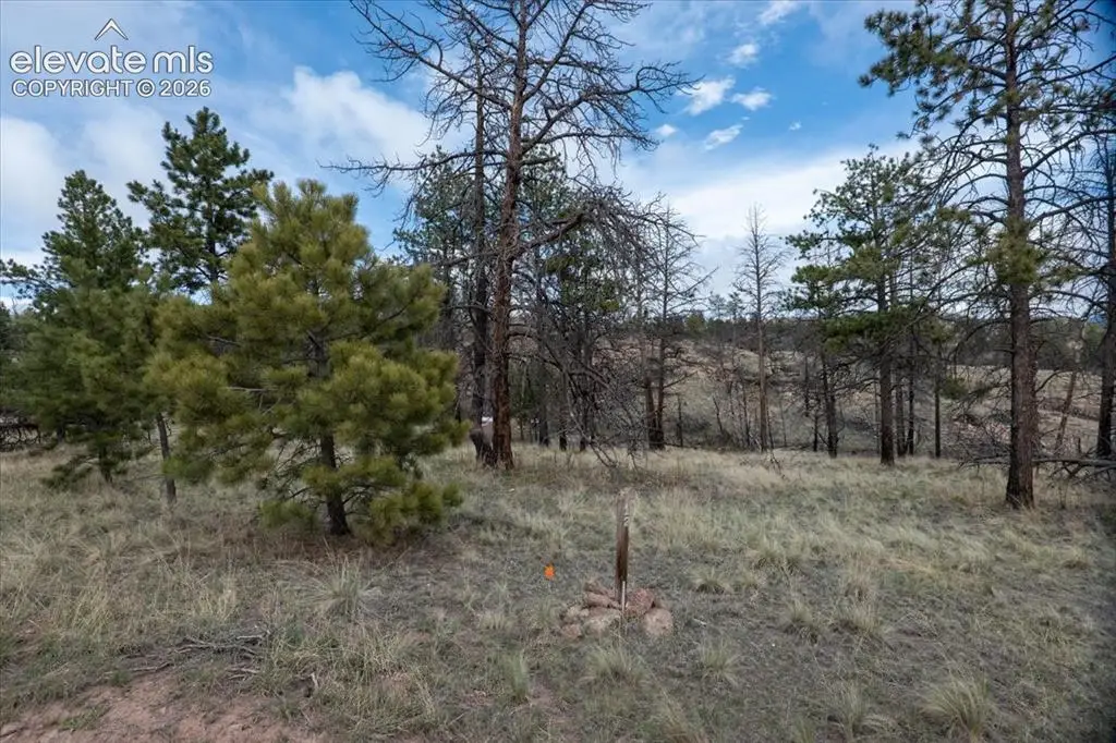 144 Chapparal Trail, Florissant, CO 80816 - #1