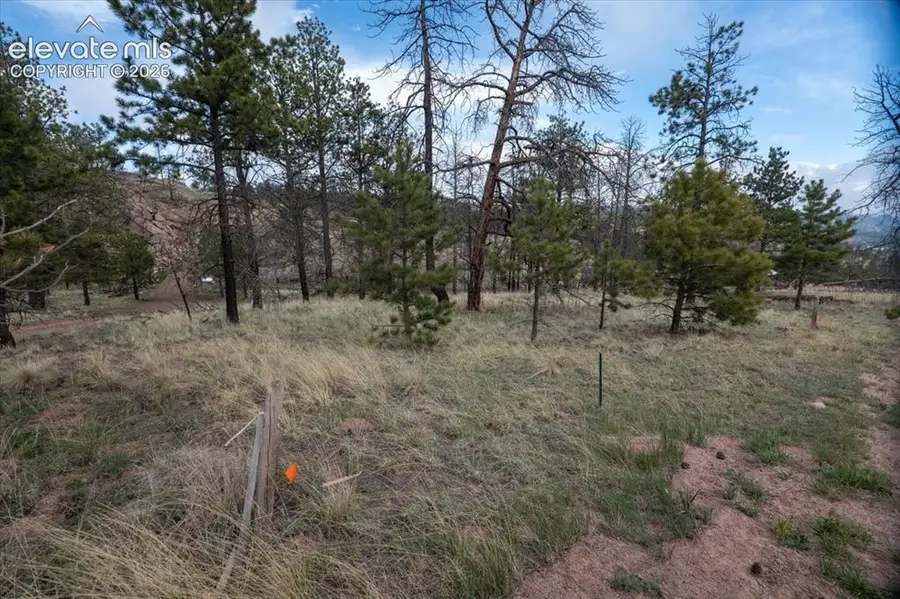 144 Chapparal Trail, Florissant, CO 80816 - #2