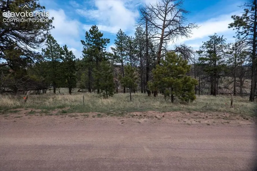 144 Chapparal Trail, Florissant, CO 80816 - #3