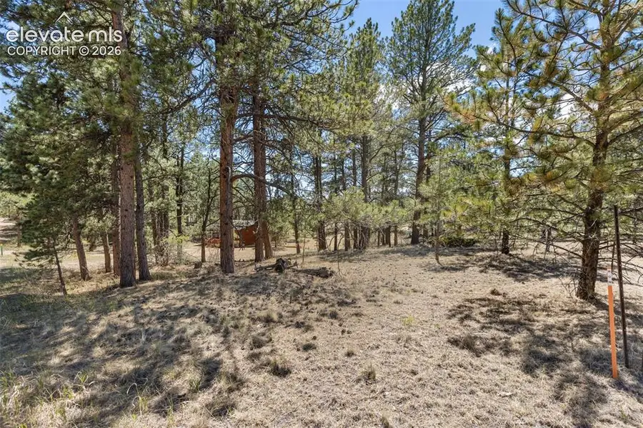 349 Rhyolite Lane, Florissant, CO 80816 - #3