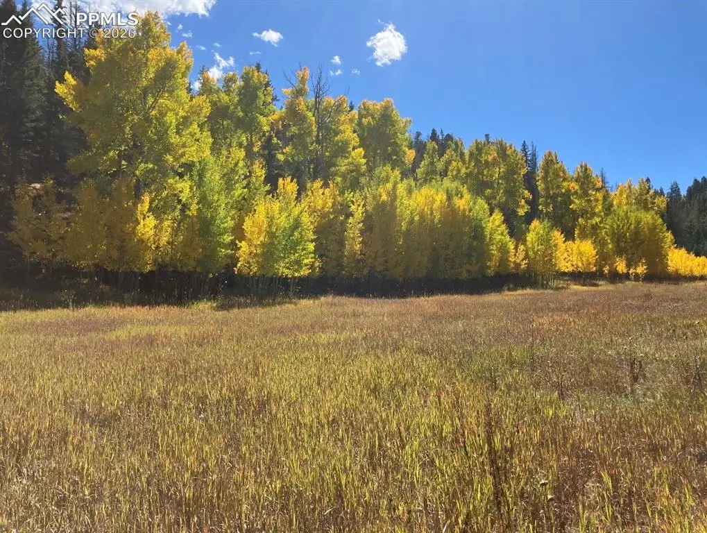 Lot 1 County Road 358, Westcliffe, CO 81252 - #1